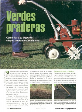 Cómo dar a tu agotado césped un nuevo aire de vida - Mayo 2000