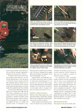 Cómo dar a tu agotado césped un nuevo aire de vida - Mayo 2000