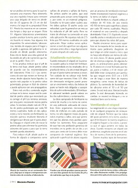 Cómo dar a tu agotado césped un nuevo aire de vida - Mayo 2000