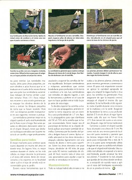 Cómo dar a tu agotado césped un nuevo aire de vida - Mayo 2000