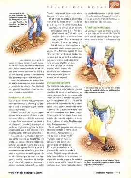 Preparando la tierra para el jardín - Julio 1998