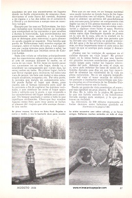 Cuatro Semanas de Viaje Con un Presupuesto Familiar - Parte II - Agosto 1958
