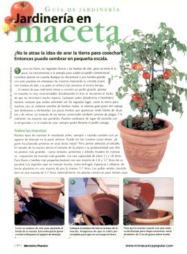 Jardinería en maceta - Julio 1998