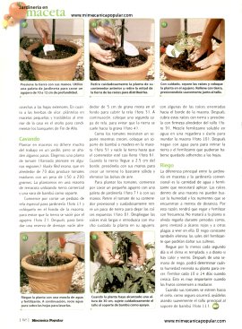 Jardinería en maceta - Julio 1998