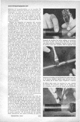 Haga Su Propia Vara de Pescar - Agosto 1953