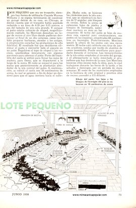 Lugar de recreo en un lote peque&ntilde;o - Junio 1958