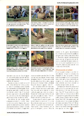 Bajo la sombra de un árbol - Mayo 2000