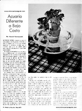 Acuario Diferente a Bajo Costo - Mayo 1973