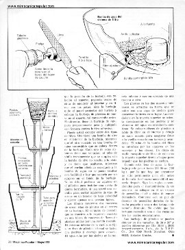 Acuario Diferente a Bajo Costo - Mayo 1973