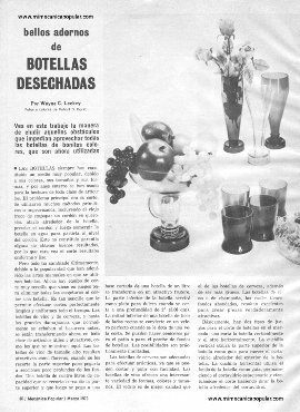 Adornos de Botellas Desechadas - Marzo 1973