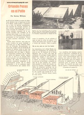 Criando Peces en el Patio - Mayo 1976
