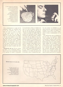 Busque oro en sus vacaciones - Octubre 1974