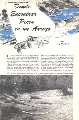 Dónde encontrar peces en un arroyo - Mayo 1954