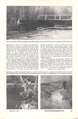 Dónde encontrar peces en un arroyo - Mayo 1954