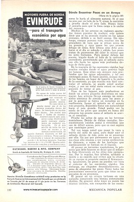 Dónde encontrar peces en un arroyo - Mayo 1954