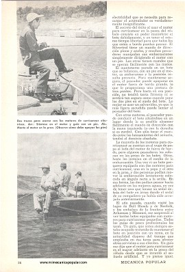 Para el pescador: Al róbalo hay que sorprenderlo - Junio 1960