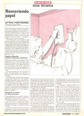 Removiendo papel tapiz - Diciembre 1990