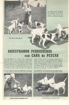 Adiestrando Perdigueros con Caña de Pescar - Enero 1952