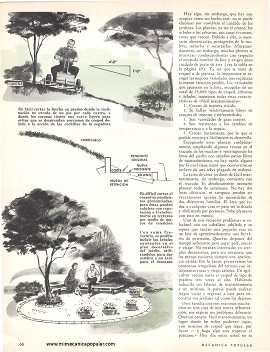 Jardines que requieren poco cuidado - Diciembre 1962