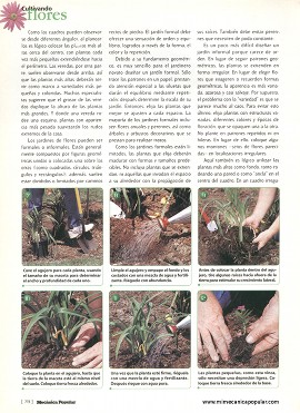 Cultivando flores - Julio 1998