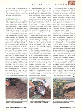 Cultivando flores - Julio 1998
