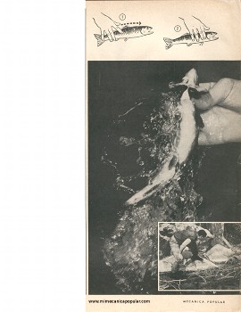 La Pesca con una Sola Mano - Diciembre 1964