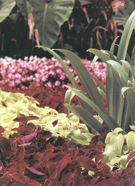 ¿Por qué tener un jardín? - Julio 1998