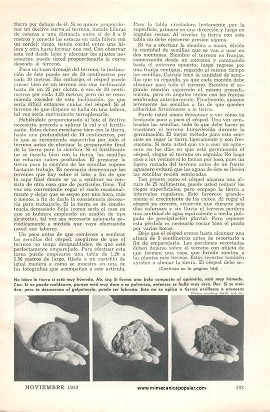 Trabajo Pesado más Abonos igual a Buen Césped - Noviembre 1953