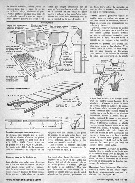 Jardines Interiores - Julio 1975
