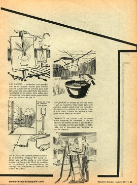 Resolviendo Problemas Caseros - Agosto 1971