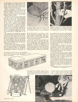 Para el excursionista: Qué hacer si lo sorprende el mal tiempo - Agosto 1964