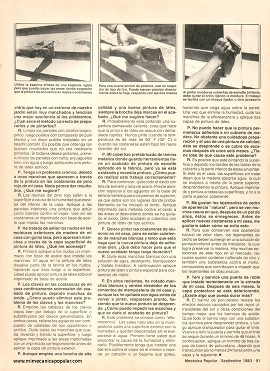 Problemas de la pintura y sus soluciones - Septiembre 1983