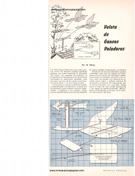Veleta de Gansos Voladores - Junio 1964