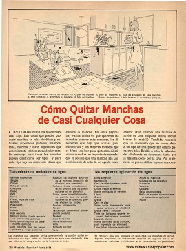 Cómo Quitar Manchas de Casi Cualquier Cosa - Junio 1974