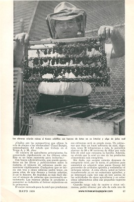 Usted Debería Criar Abejas - Mayo 1959