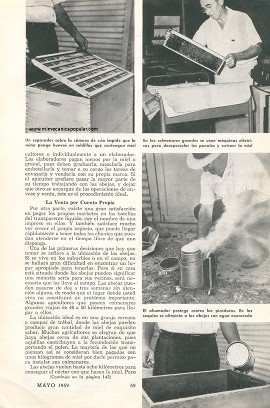 Usted Debería Criar Abejas - Mayo 1959