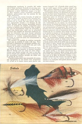 Cómo Tentar a un Pez - Parte I - Junio 1949