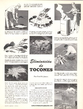 Eliminación de Tocones - Noviembre 1962