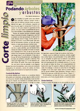Podando árboles y arbustos - Agosto 1997