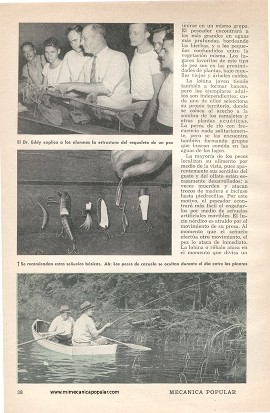 Escuela de Pescadores - Diciembre 1948