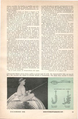 Escuela de Pescadores - Diciembre 1948