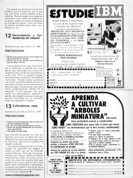 Cómo evitar 13 accidentes comunes en el patio - Junio 1978