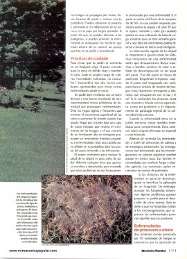 C&oacute;mo ganar la batalla contra las enfermedades del pasto - Junio 2001