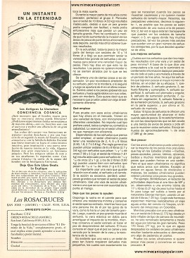 Para el Pescador - Octubre 1981