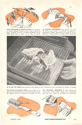 Resolviendo Problemas del Hogar - Junio 1950
