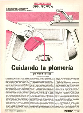 Cuidando la Plomer&iacute;a - Enero 1991