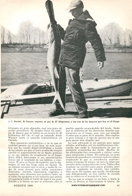 El Pez Hoja No Pica - Agosto 1960