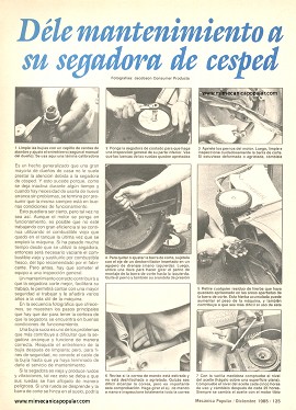 Déle mantenimiento a su segadora de césped - Diciembre 1985