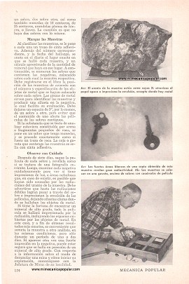 Busque Uranio con Un Rollo de Película - Octubre 1956