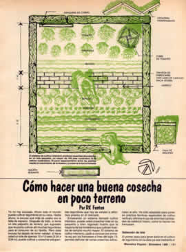 C&oacute;mo hacer una buena cosecha en poco terreno